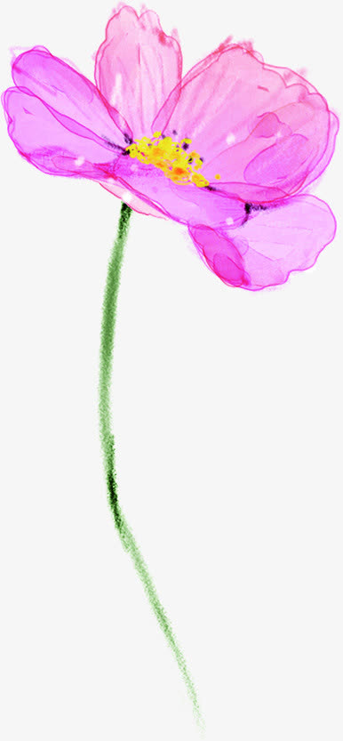 紫色春天精美水彩花朵免抠