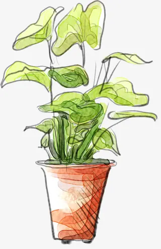 手绘荷叶咖啡海报免抠