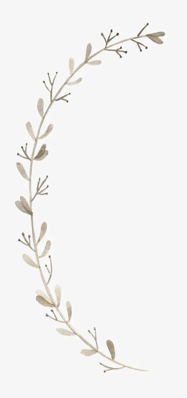 一枝小的树枝免抠