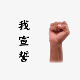 我承诺我宣誓免抠