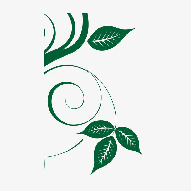 树叶免抠