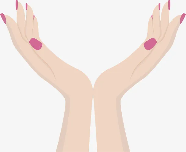 简易的一双女人手免抠