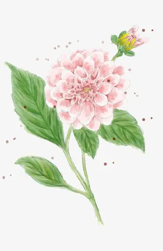 卡通红花绿叶装饰素材免抠