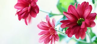 天猫 淘宝 banner 海报高清