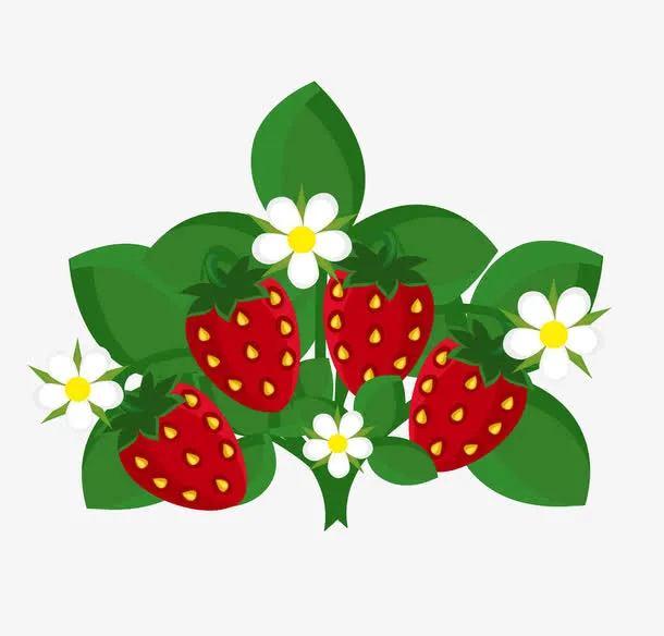 矢量插图草莓免抠