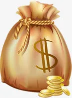 装满金币的钱袋子双11免抠