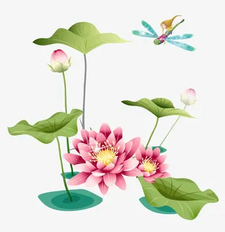 卡通手绘荷花免抠