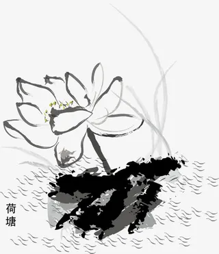 不一样的荷塘美免抠