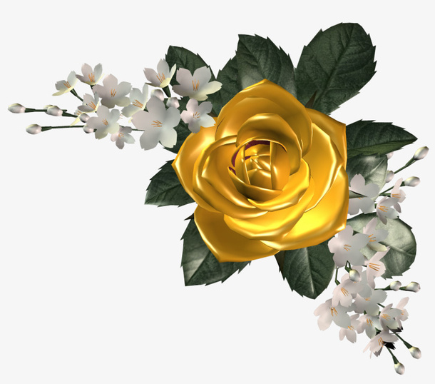 手绘花卉插画免抠