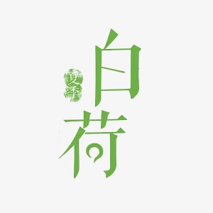 夏季白荷免抠