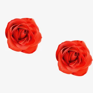 玫瑰免抠动植物植物元素