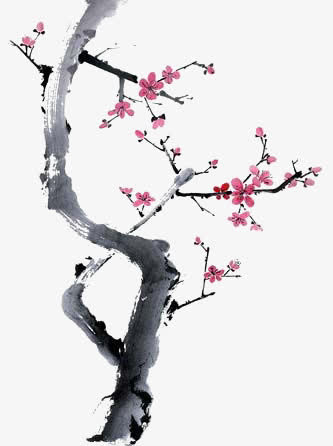 梅花免抠