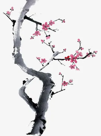 梅花免抠
