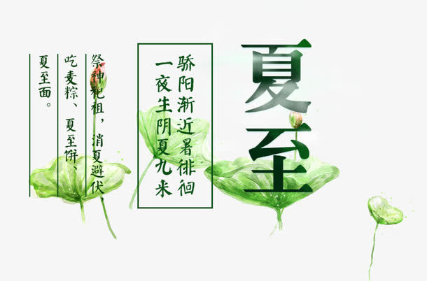 夏至节气荷花免抠装饰素材免抠