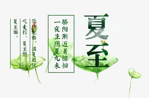 夏至节气荷花免抠装饰素材免抠