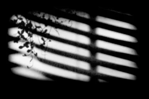 窗户 光线  灯光 合成3免抠