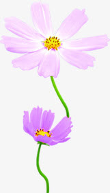 粉色高清花朵花瓣免抠
