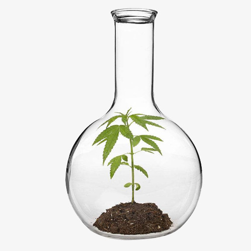 精致的圆底烧瓶免抠