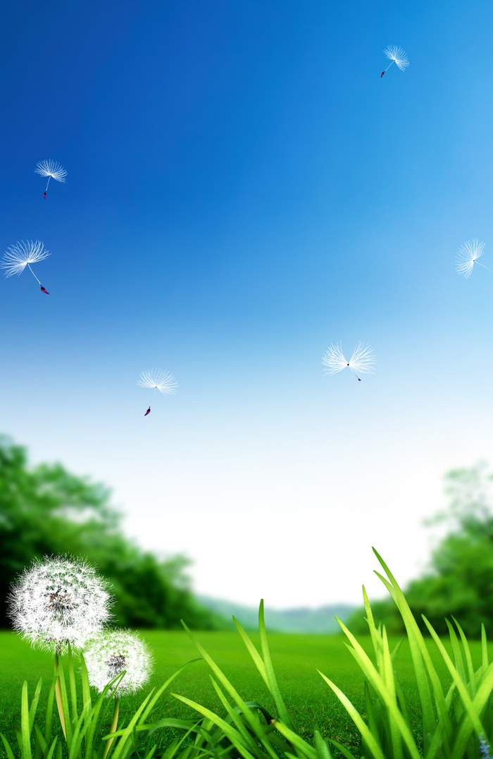 清新背景高清