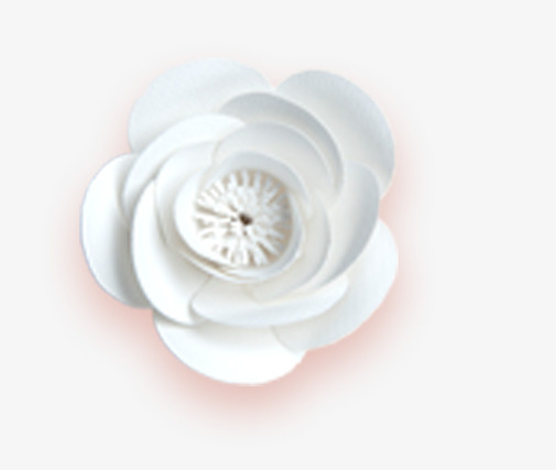 微立体白色鲜花素材免抠