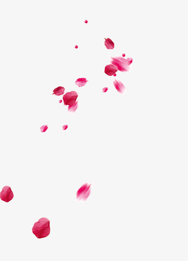 漂亮花朵花瓣飘落免抠