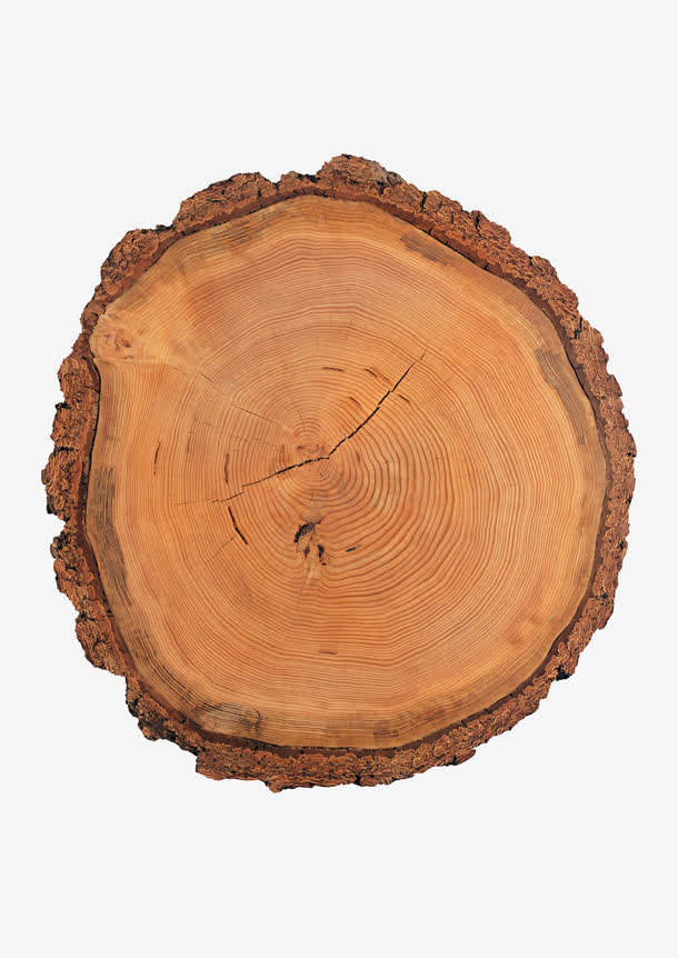 原木图片免抠