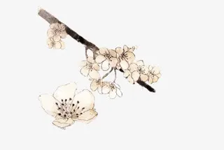 水彩桃花黑色树枝免抠