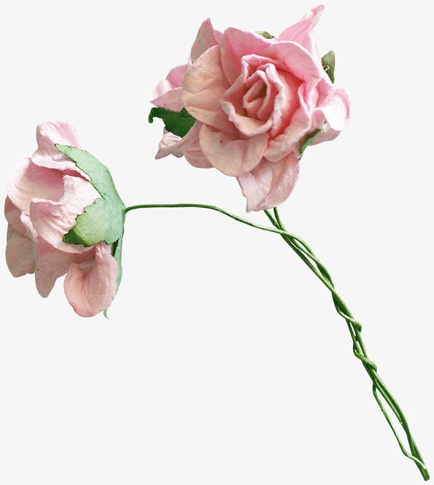 粉色鲜花免抠