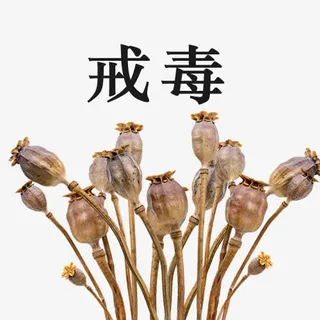 毒品与罂粟创意图免抠