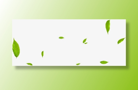 飘零树叶装饰素材免抠漂浮叶子元素