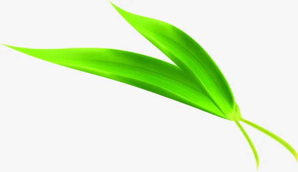 端午节粽叶叶子绿叶免抠