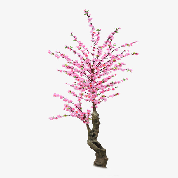 可爱手绘樱花树免扣素材免抠