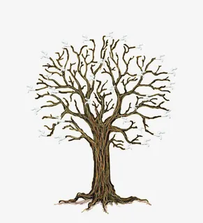 创意干枯树枝免抠