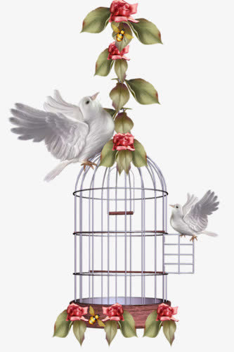 浪漫玫瑰鸟笼鸽子免抠