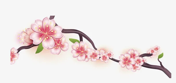 粉色手绘樱花树枝免抠