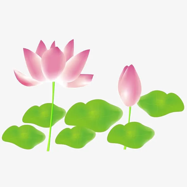 花卉专辑免抠