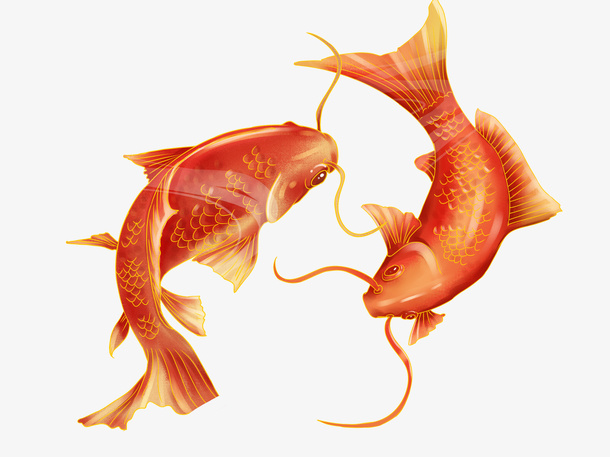 彩色国潮手绘鱼鲤鱼锦鲤国潮免抠
