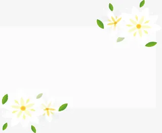 白色茉莉标题框免抠