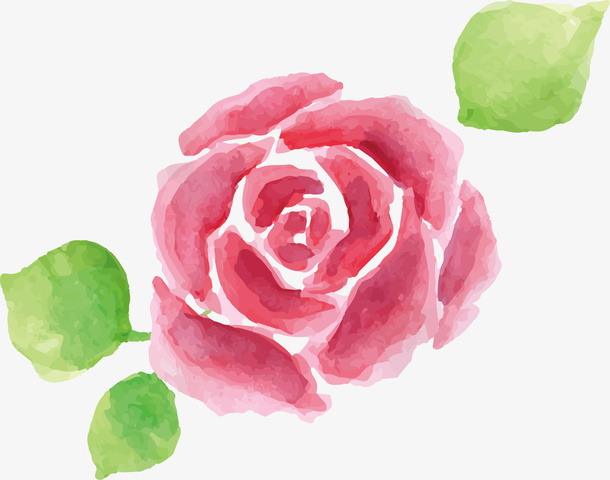 花瓣免抠