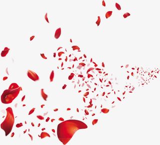 漂浮玫瑰花瓣免抠