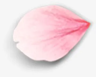 花瓣免抠