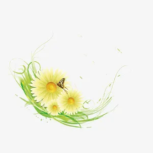 春天精美清新花免抠