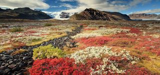 淘宝背景图高清