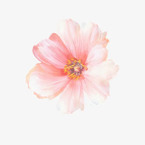 粉色美丽清新花朵免抠