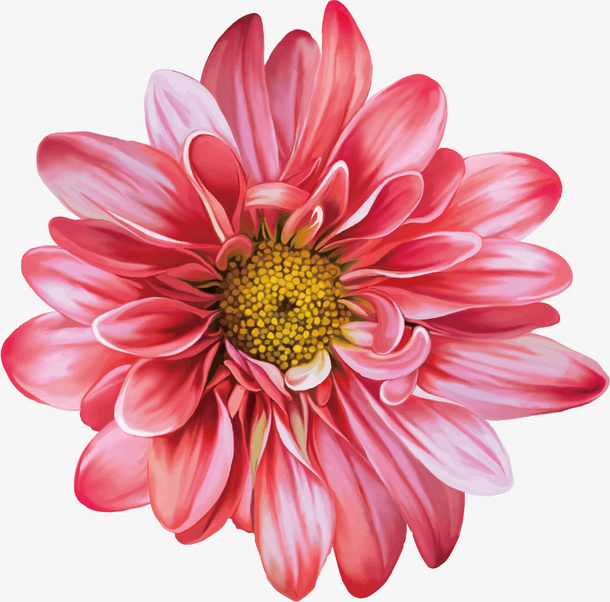 手绘高清矢量水彩鲜花免抠
