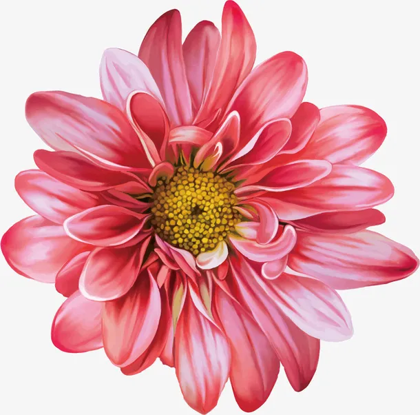 手绘高清矢量水彩鲜花免抠