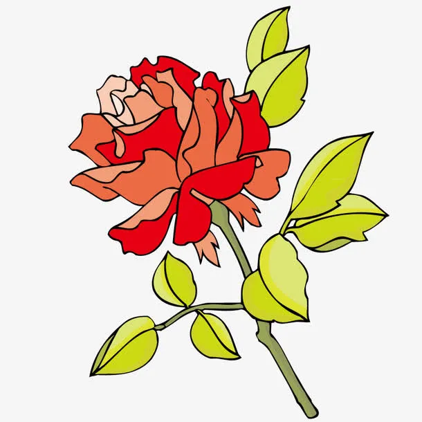 手绘月季免抠
