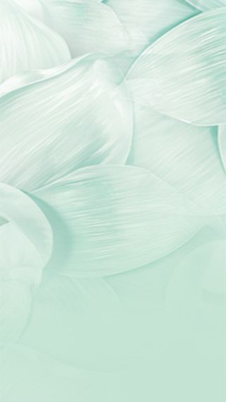 淡蓝简约花纹背景高清