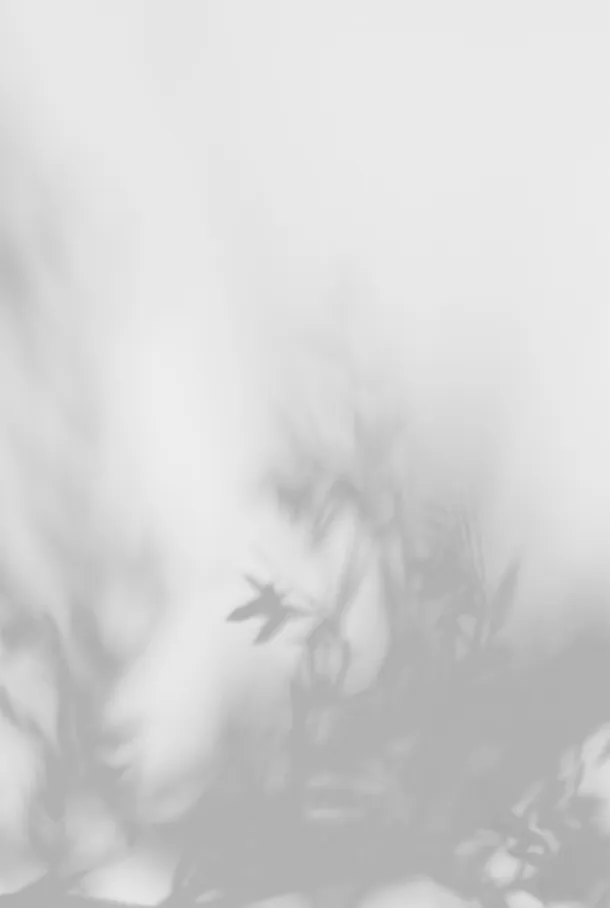背景光影合集