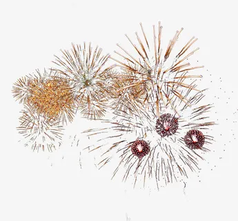 新年春节烟花绽放免抠